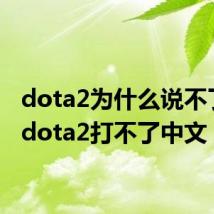 dota2为什么说不了话(dota2打不了中文)