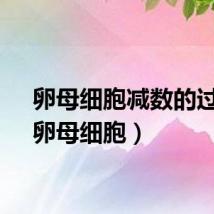 卵母细胞减数的过程（卵母细胞）