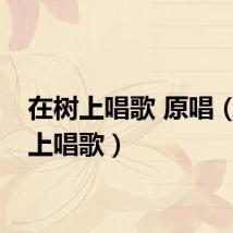 在树上唱歌 原唱(在树上唱歌)