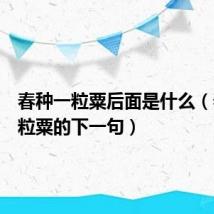春种一粒粟后面是什么(春种一粒粟的下一句)