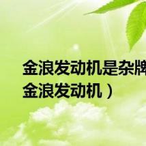 金浪发动机是杂牌吗（金浪发动机）
