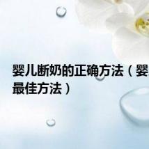 婴儿断奶的正确方法(婴儿断奶最佳方法)