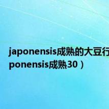 japonensis成熟的大豆行情(japonensis成熟30)