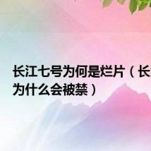 长江七号为何是烂片(长江七号为什么会被禁)