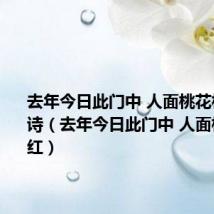去年今日此门中 人面桃花相映红全诗(去年今日此门中 人面桃花相映红)