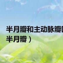 半月瓣和主动脉瓣区别（半月瓣）