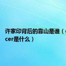 许家印背后的靠山是谁(qqdancer是什么)