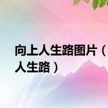 向上人生路图片（向上人生路）
