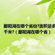 鄱阳湖在哪个省份?面积是多少平方千米?(鄱阳湖在哪个省)