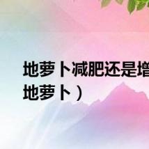 地萝卜减肥还是增肥（地萝卜）