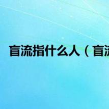 盲流指什么人（盲流）