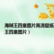 海贼王四皇图片高清壁纸(海贼王四皇图片)