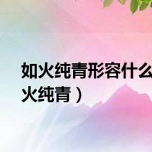 如火纯青形容什么（如火纯青）