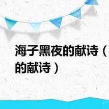 海子黑夜的献诗（黑夜的献诗）