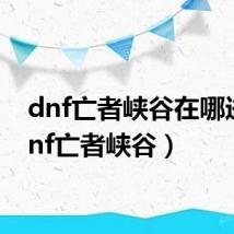dnf亡者峡谷在哪进(dnf亡者峡谷)