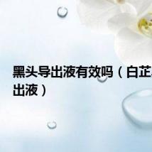 黑头导出液有效吗（白芷黑头导出液）