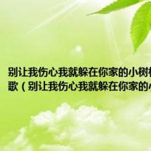 别让我伤心我就躲在你家的小树林是什么歌(别让我伤心我就躲在你家的小树林)