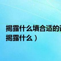 揭露什么填合适的词语（揭露什么）