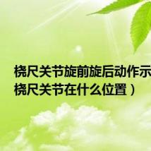 桡尺关节旋前旋后动作示意图(桡尺关节在什么位置)