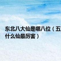 东北八大仙是哪八位(五大仙家什么仙最厉害)