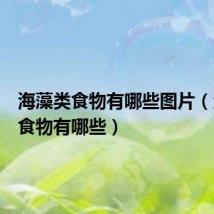 海藻类食物有哪些图片(海藻类食物有哪些)