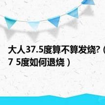 大人37.5度算不算发烧?(大人37 5度如何退烧)