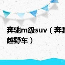 奔驰m级suv（奔驰m级越野车）