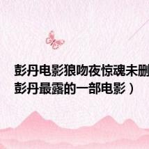 彭丹电影狼吻夜惊魂未删减版(彭丹最露的一部电影)