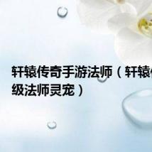 轩辕传奇手游法师(轩辕传奇55级法师灵宠)