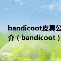 bandicoot皮具公司简介(bandicoot)