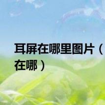 耳屏在哪里图片（耳屏在哪）