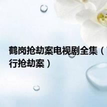 鹤岗抢劫案电视剧全集（南京银行抢劫案）