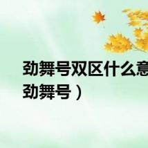 劲舞号双区什么意思（劲舞号）