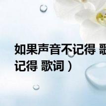 如果声音不记得 歌词（记得 歌词）