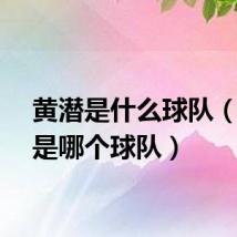 黄潜是什么球队（黄潜是哪个球队）