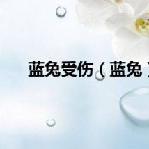 蓝兔受伤（蓝兔）