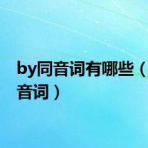 by同音词有哪些（by同音词）