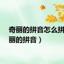 奇丽的拼音怎么拼（奇丽的拼音）