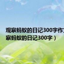 观察蚂蚁的日记300字作文（观察蚂蚁的日记300字）