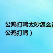公鸡打鸣太吵怎么治理（公鸡打鸣）