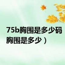 75b胸围是多少码(75b胸围是多少)