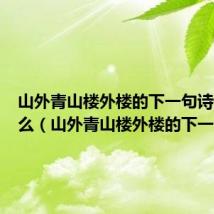 山外青山楼外楼的下一句诗词是什么（山外青山楼外楼的下一句）