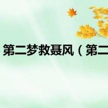 第二梦救聂风（第二梦）