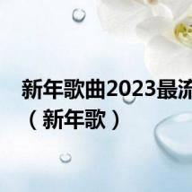 新年歌曲2023最流行歌(新年歌)