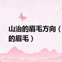 山治的眉毛方向（山治的眉毛）