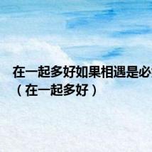 在一起多好如果相遇是必然歌词(在一起多好)