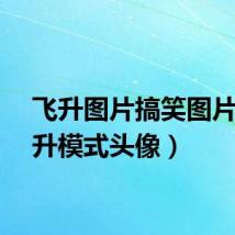 飞升图片搞笑图片(飞升模式头像)