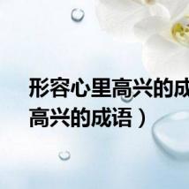 形容心里高兴的成语（高兴的成语）