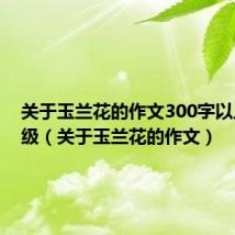 关于玉兰花的作文300字以上三年级(关于玉兰花的作文)