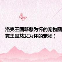 洛克王国慈悲为怀的宠物图片(洛克王国慈悲为怀的宠物)